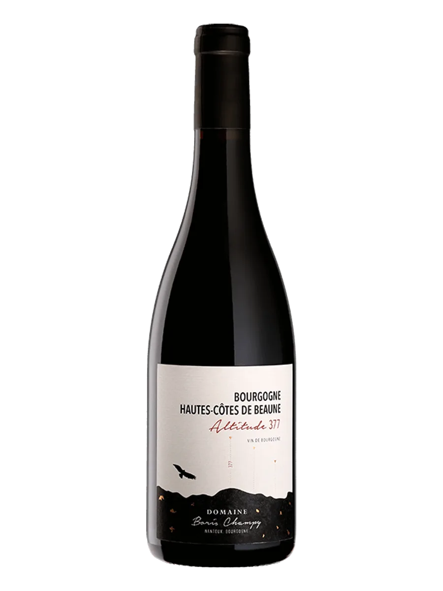 Boris Champy Clou 377