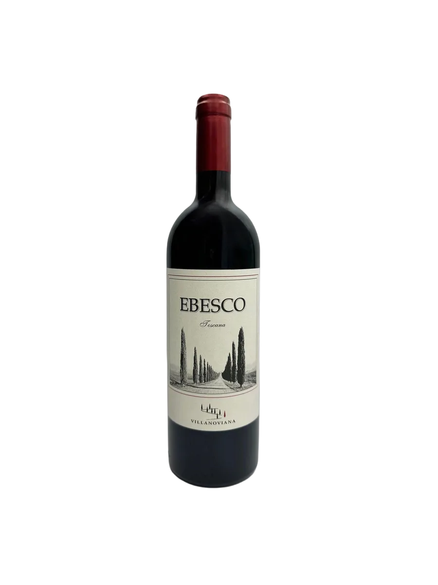 Villanoviana Ebesco