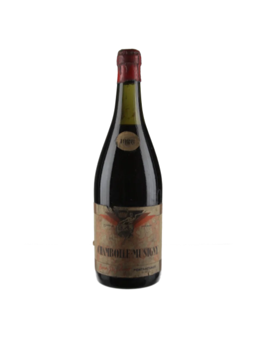 Thomas Bassot, Chambolle-Musigny