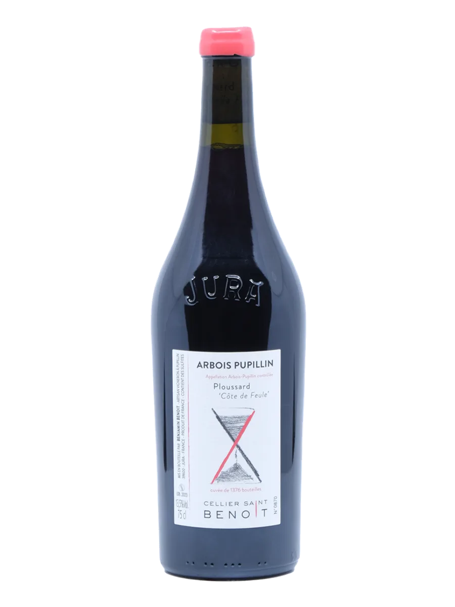 Saint-Benoit Cote de Feule Ploussard