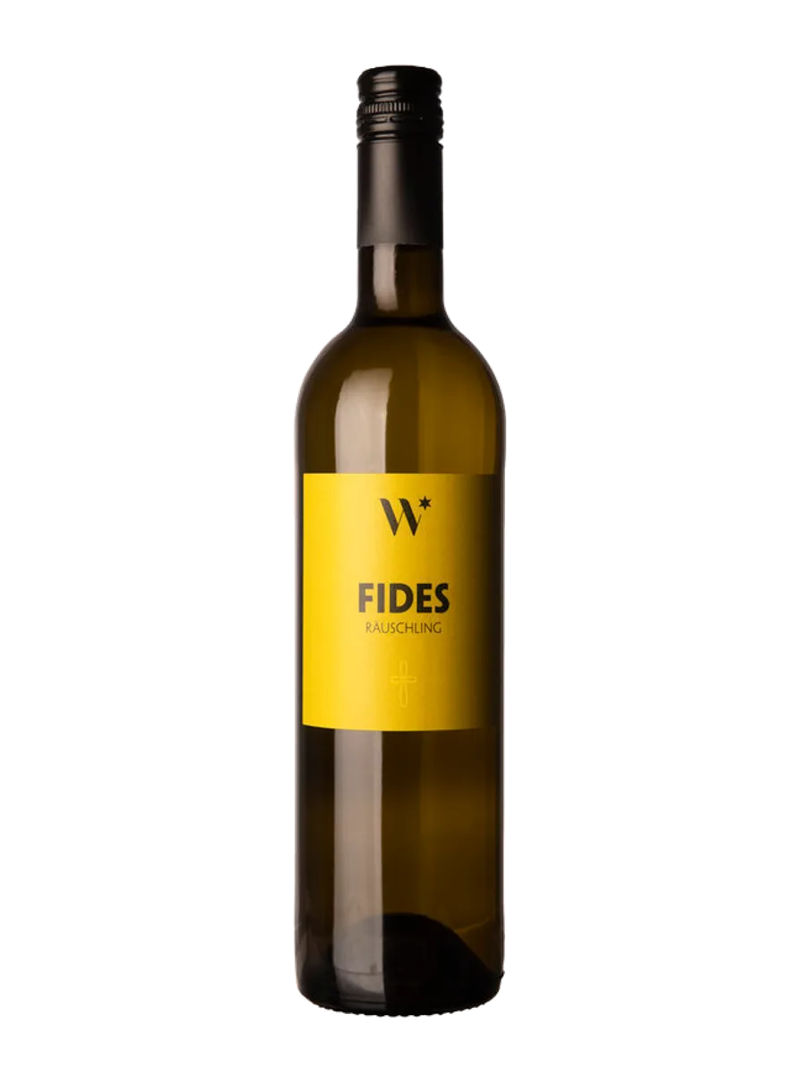 WeinStern Wettingen AG Fides Räuschling