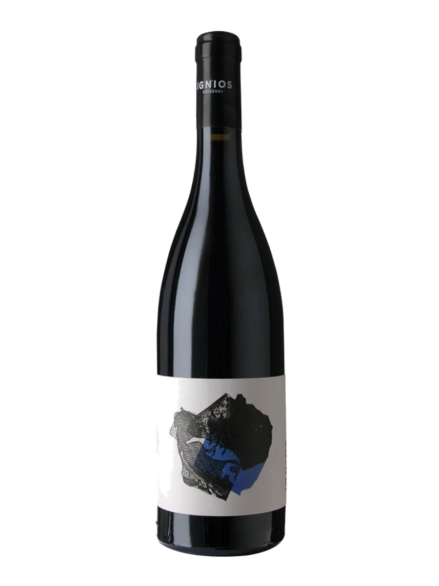 Borja Perez Viticultor Ignios Origenes Baboso Negro
