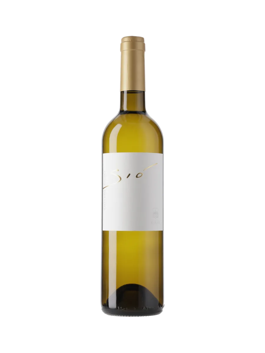 Ribas Blanc