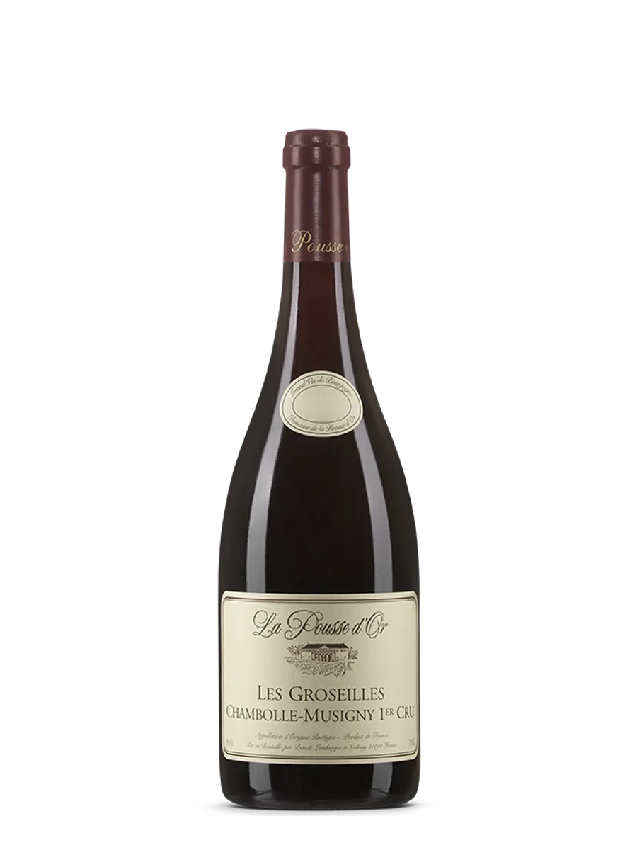 La Pousse d'Or, Chambolle-Musigny