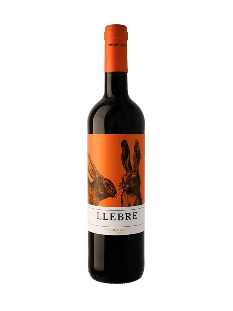 Tomas Cusine Llebre