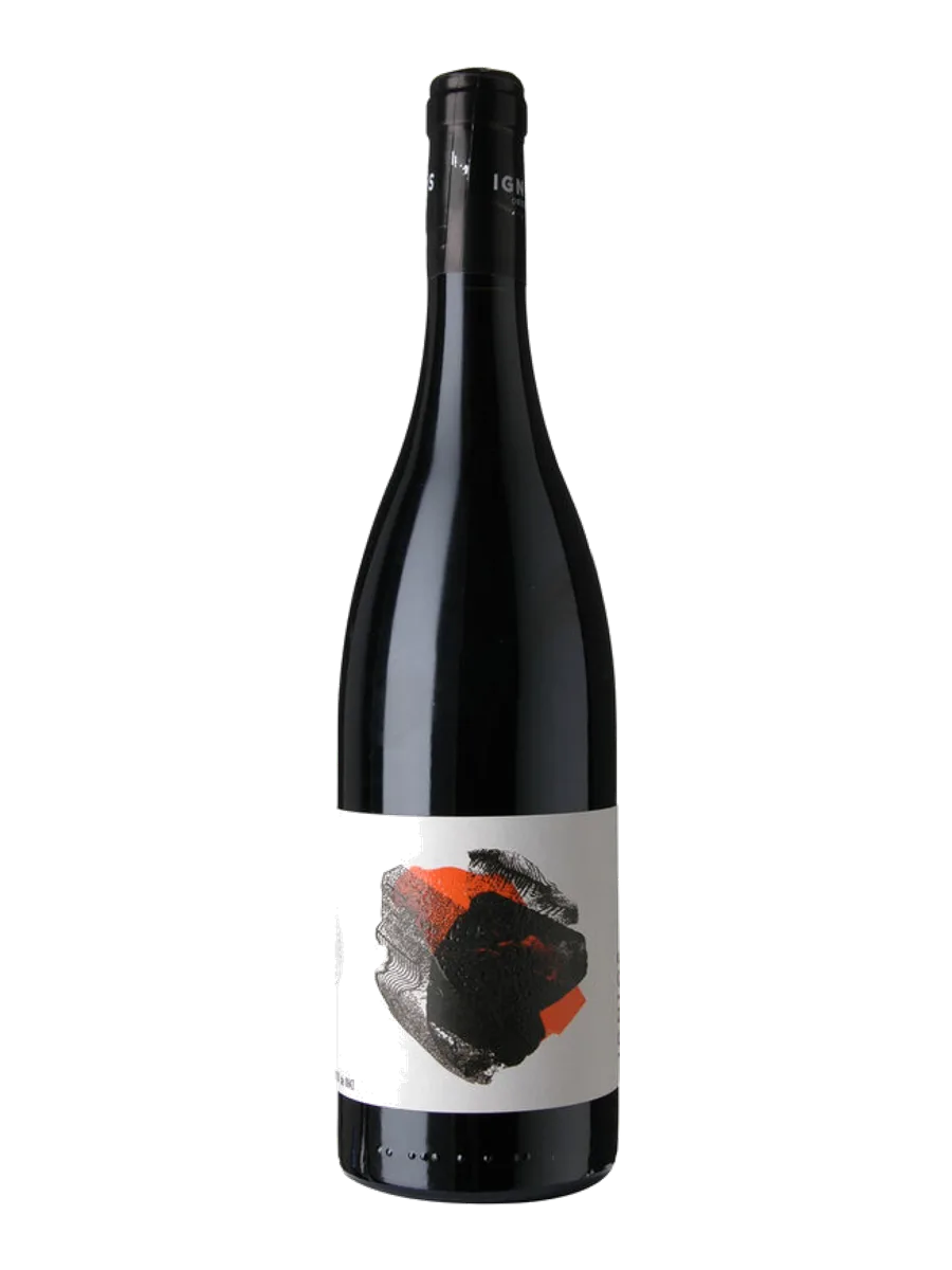 Borja Perez Viticultor Ignios Origenes Vijariego Negro